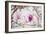 Spring is In the Air II-Elizabeth Urquhart-Framed Photo