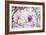 Spring is In the Air II-Elizabeth Urquhart-Framed Photo