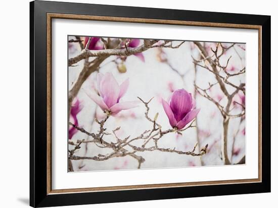 Spring is In the Air II-Elizabeth Urquhart-Framed Photo