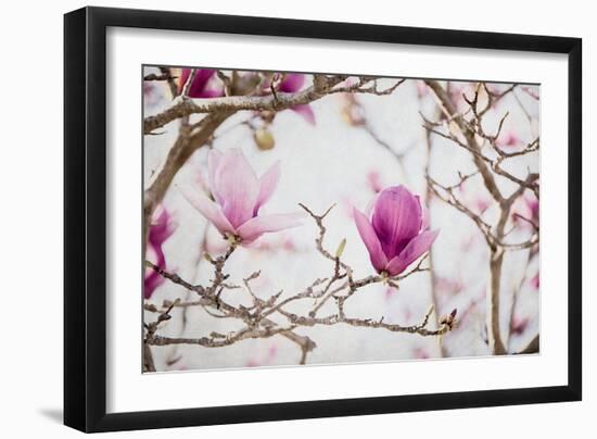 Spring is In the Air II-Elizabeth Urquhart-Framed Photo