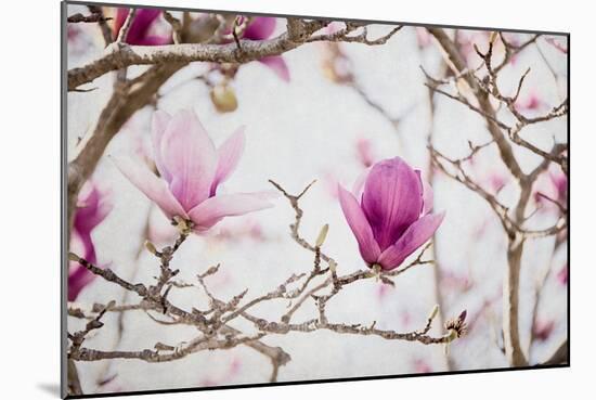 Spring is In the Air II-Elizabeth Urquhart-Mounted Photo