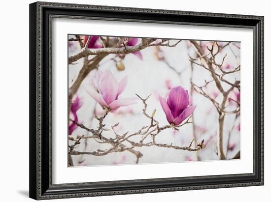 Spring is In the Air II-Elizabeth Urquhart-Framed Photo