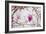 Spring is In the Air II-Elizabeth Urquhart-Framed Photo