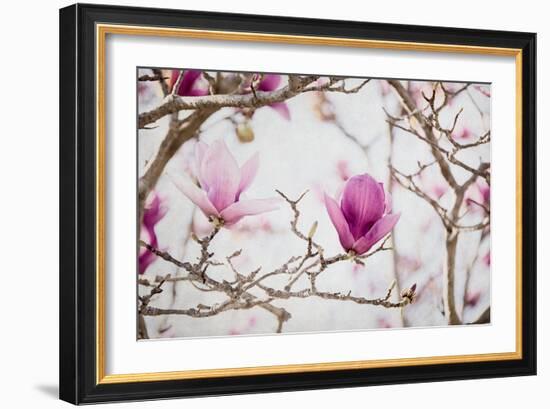 Spring is In the Air II-Elizabeth Urquhart-Framed Photo