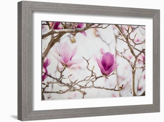 Spring is In the Air II-Elizabeth Urquhart-Framed Photographic Print