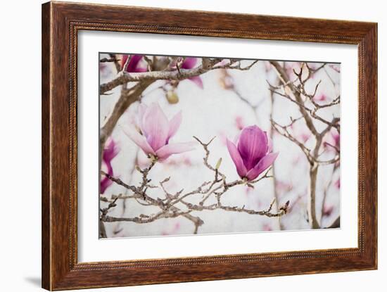 Spring is In the Air II-Elizabeth Urquhart-Framed Photographic Print