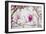 Spring is In the Air II-Elizabeth Urquhart-Framed Photographic Print