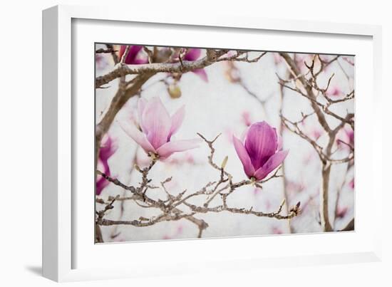 Spring is In the Air II-Elizabeth Urquhart-Framed Photographic Print