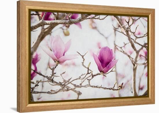 Spring is In the Air II-Elizabeth Urquhart-Framed Stretched Canvas