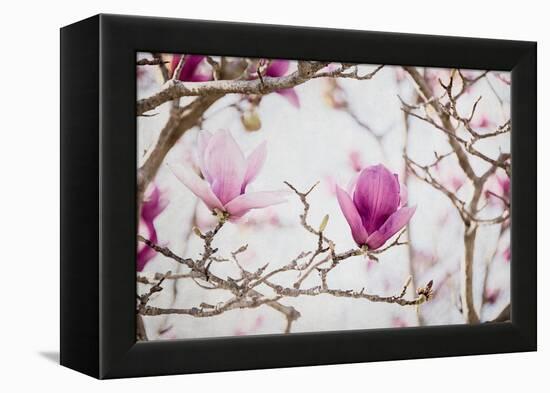 Spring is In the Air II-Elizabeth Urquhart-Framed Stretched Canvas