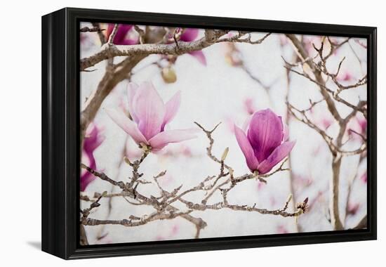 Spring is In the Air II-Elizabeth Urquhart-Framed Stretched Canvas