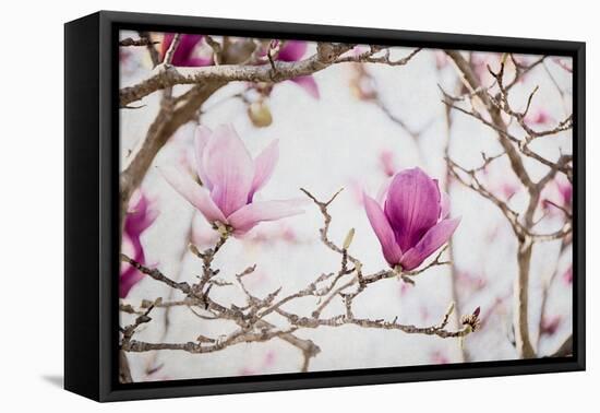 Spring is In the Air II-Elizabeth Urquhart-Framed Stretched Canvas