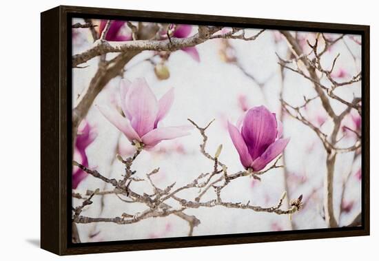 Spring is In the Air II-Elizabeth Urquhart-Framed Stretched Canvas