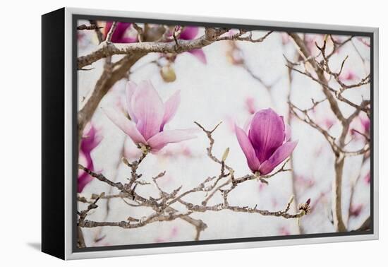 Spring is In the Air II-Elizabeth Urquhart-Framed Stretched Canvas