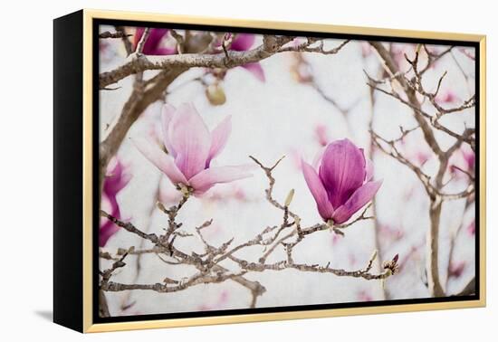 Spring is In the Air II-Elizabeth Urquhart-Framed Stretched Canvas