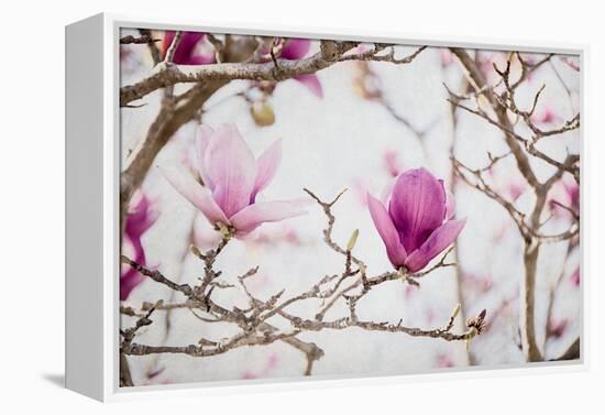 Spring is In the Air II-Elizabeth Urquhart-Framed Stretched Canvas