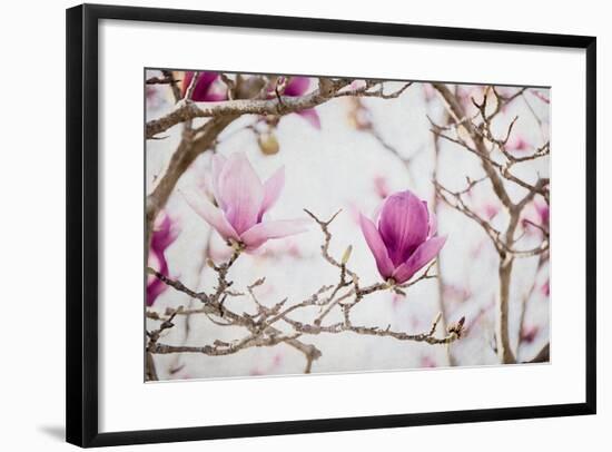 Spring is In the Air II-Elizabeth Urquhart-Framed Photo