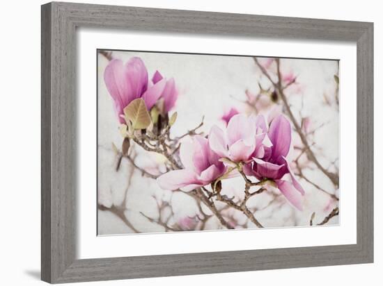 Spring is In the Air III-Elizabeth Urquhart-Framed Photographic Print