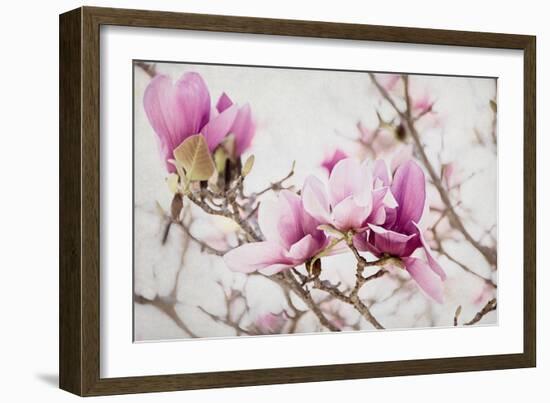 Spring is In the Air III-Elizabeth Urquhart-Framed Photographic Print