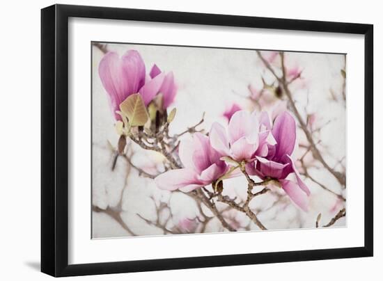 Spring is In the Air III-Elizabeth Urquhart-Framed Photographic Print