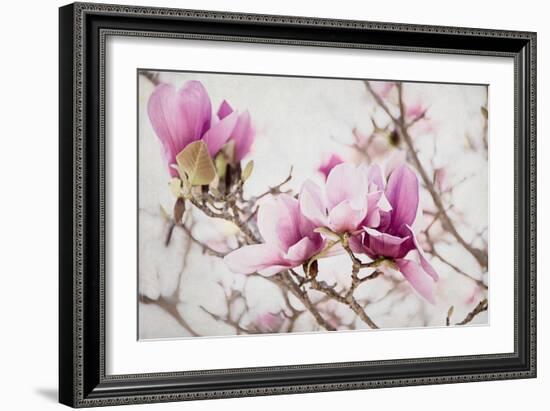 Spring is In the Air III-Elizabeth Urquhart-Framed Photographic Print