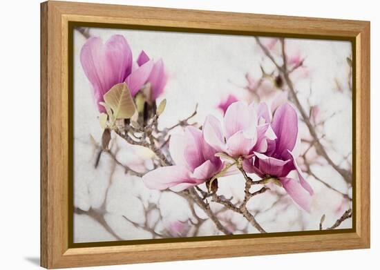 Spring is In the Air III-Elizabeth Urquhart-Framed Stretched Canvas