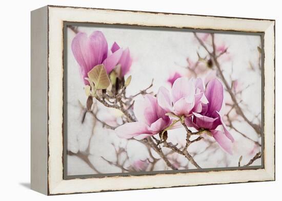 Spring is In the Air III-Elizabeth Urquhart-Framed Stretched Canvas