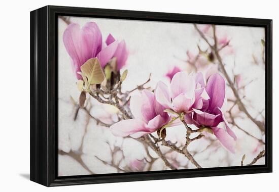 Spring is In the Air III-Elizabeth Urquhart-Framed Stretched Canvas