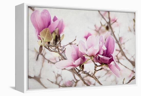 Spring is In the Air III-Elizabeth Urquhart-Framed Stretched Canvas