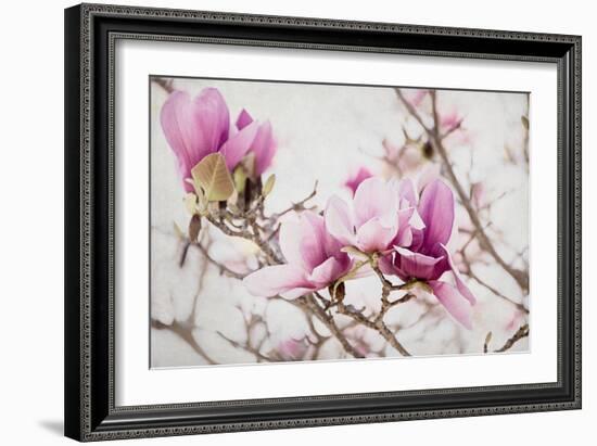 Spring is In the Air III-Elizabeth Urquhart-Framed Photo