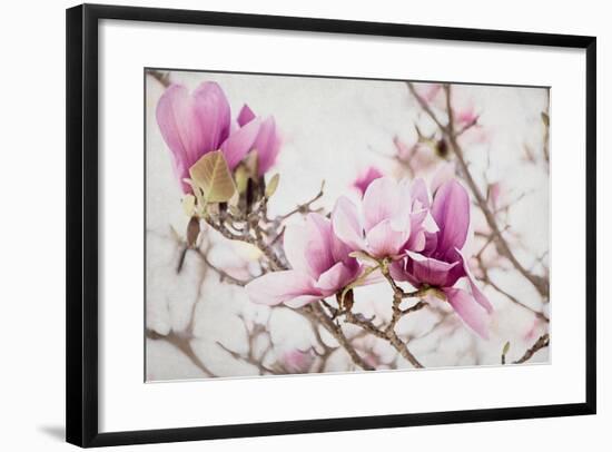 Spring is In the Air III-Elizabeth Urquhart-Framed Photo