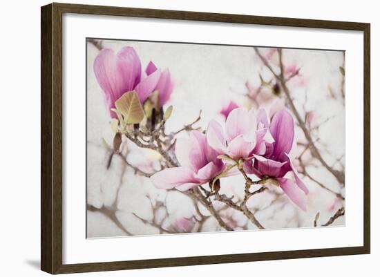 Spring is In the Air III-Elizabeth Urquhart-Framed Photo