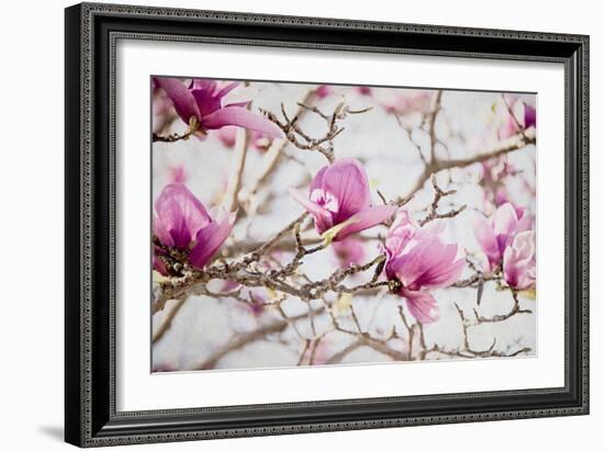 Spring is In the Air IV-Elizabeth Urquhart-Framed Photographic Print