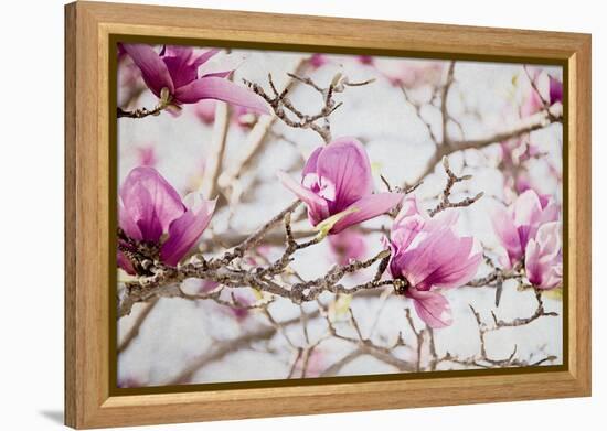 Spring is In the Air IV-Elizabeth Urquhart-Framed Stretched Canvas
