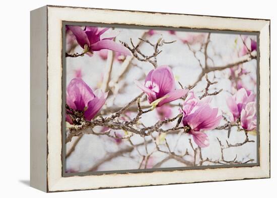 Spring is In the Air IV-Elizabeth Urquhart-Framed Stretched Canvas