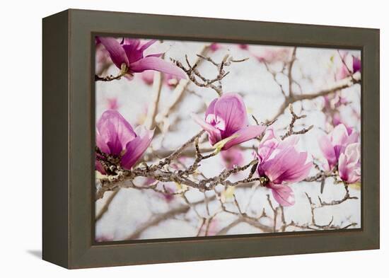 Spring is In the Air IV-Elizabeth Urquhart-Framed Stretched Canvas