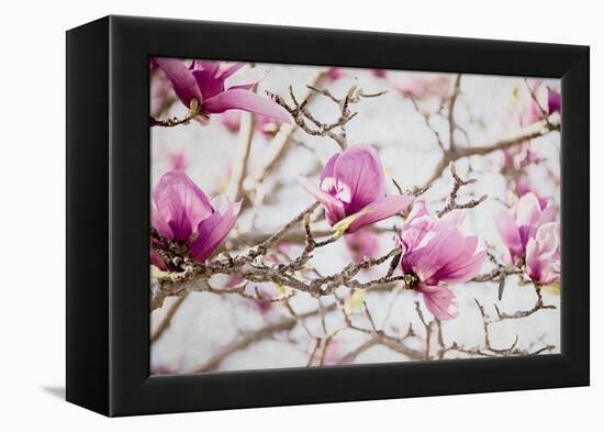 Spring is In the Air IV-Elizabeth Urquhart-Framed Stretched Canvas