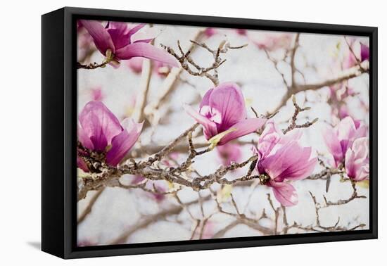 Spring is In the Air IV-Elizabeth Urquhart-Framed Stretched Canvas