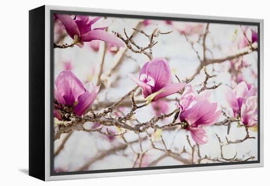 Spring is In the Air IV-Elizabeth Urquhart-Framed Stretched Canvas