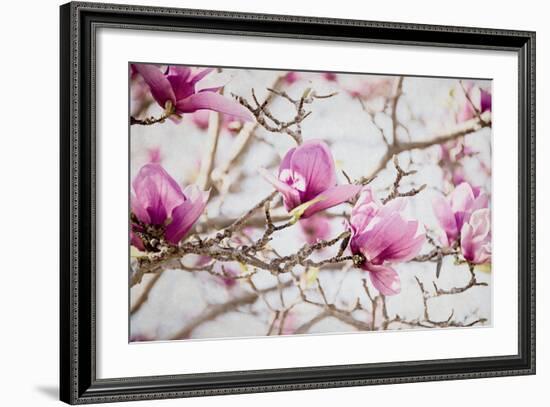 Spring is In the Air IV-Elizabeth Urquhart-Framed Photo