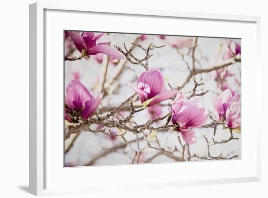 Spring is In the Air IV-Elizabeth Urquhart-Framed Photo