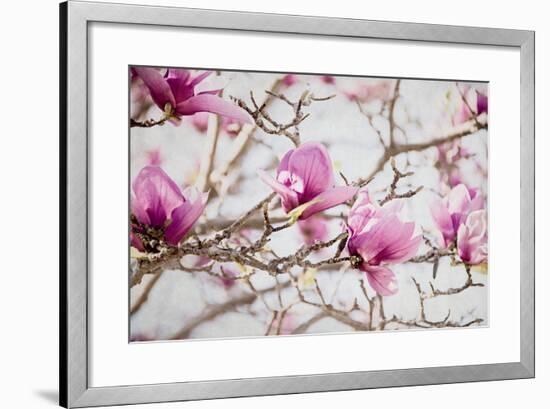 Spring is In the Air IV-Elizabeth Urquhart-Framed Photo