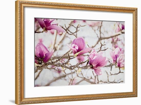 Spring is In the Air IV-Elizabeth Urquhart-Framed Photo