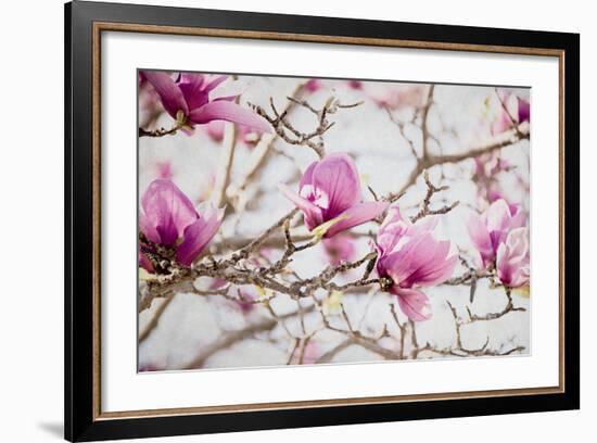 Spring is In the Air IV-Elizabeth Urquhart-Framed Photo