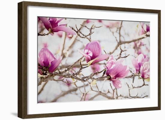 Spring is In the Air IV-Elizabeth Urquhart-Framed Photo