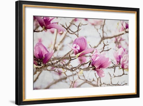 Spring is In the Air IV-Elizabeth Urquhart-Framed Photo