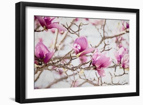 Spring is In the Air IV-Elizabeth Urquhart-Framed Photo