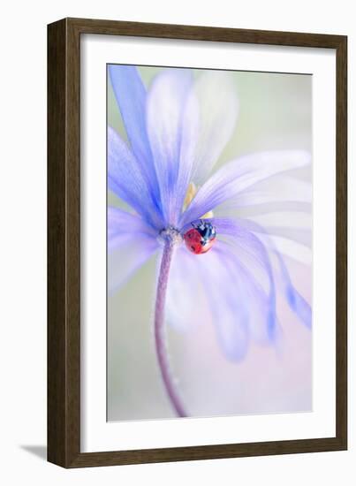 Spring Lady-Jacky Parker-Framed Giclee Print