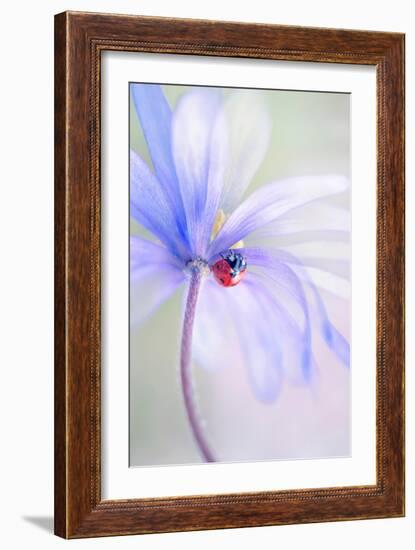 Spring Lady-Jacky Parker-Framed Giclee Print