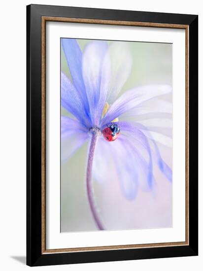 Spring Lady-Jacky Parker-Framed Giclee Print